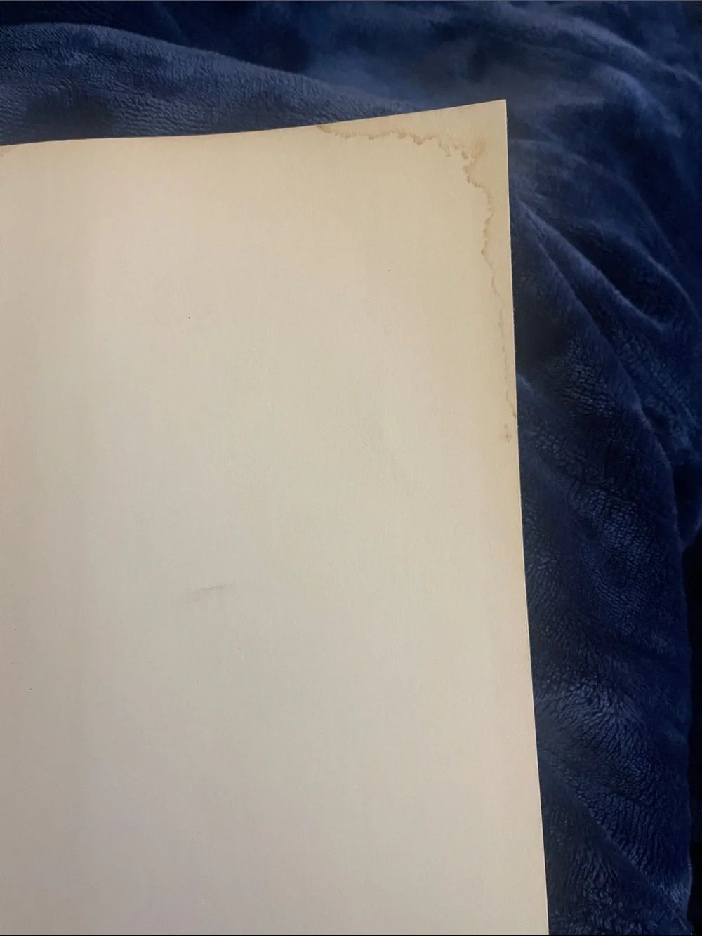 The Ford Times Cookbook - Illustrated Hardcover in Cream and Brown